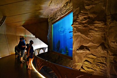 JuraPark w Krasiejowie